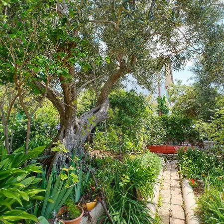 Giuseppe Lejlighed *