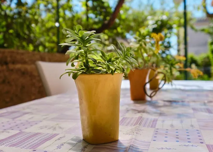 Giuseppe 말리로시니