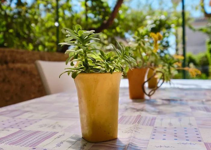 Giuseppe 말리로시니