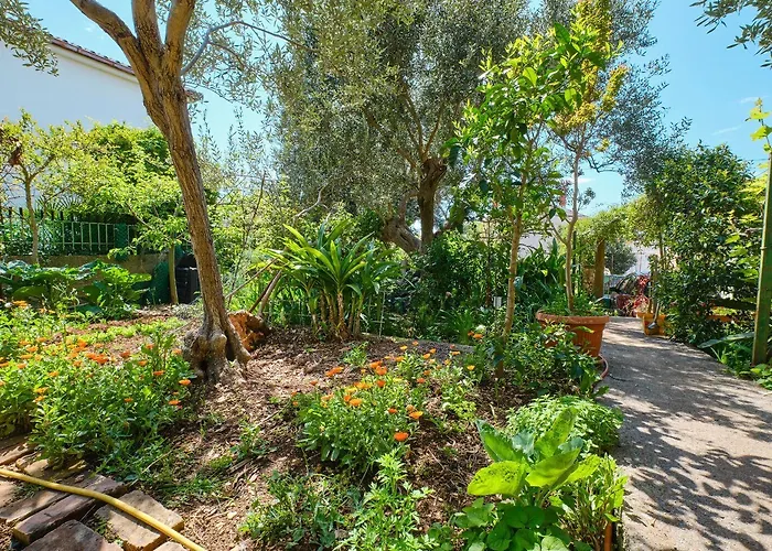 Giuseppe * 말리로시니