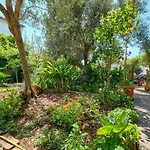Apartamento Giuseppe *
