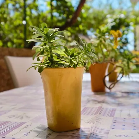 Giuseppe- Terrace Mali Losinj