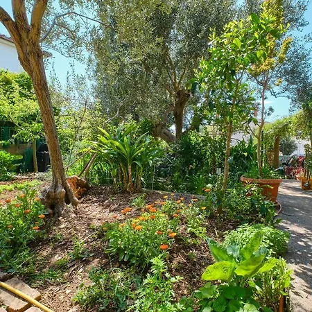 Apartment Giuseppe- Terrace *